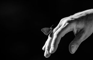 monochrome-butterfly-on-hand